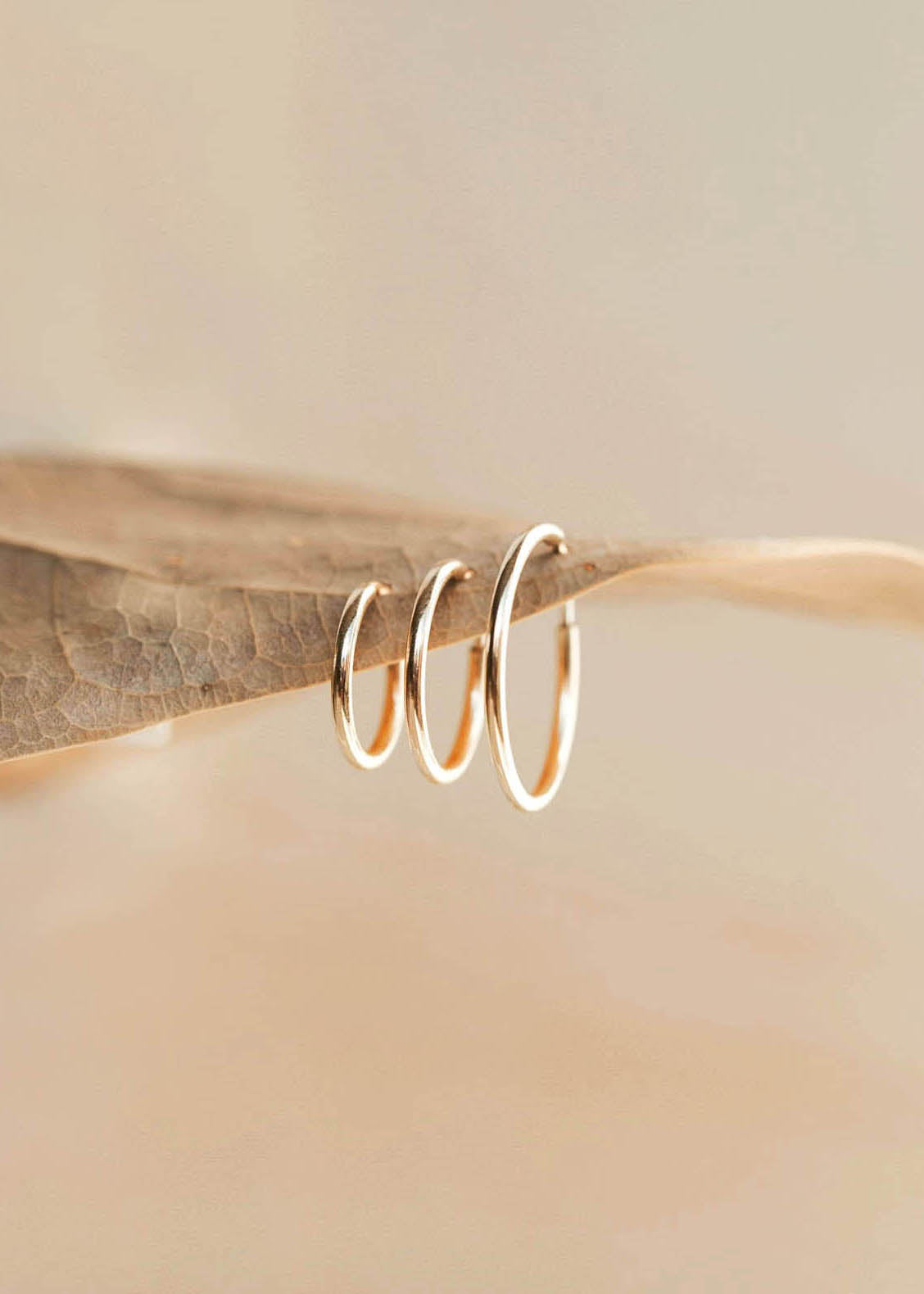 Endless Hoops